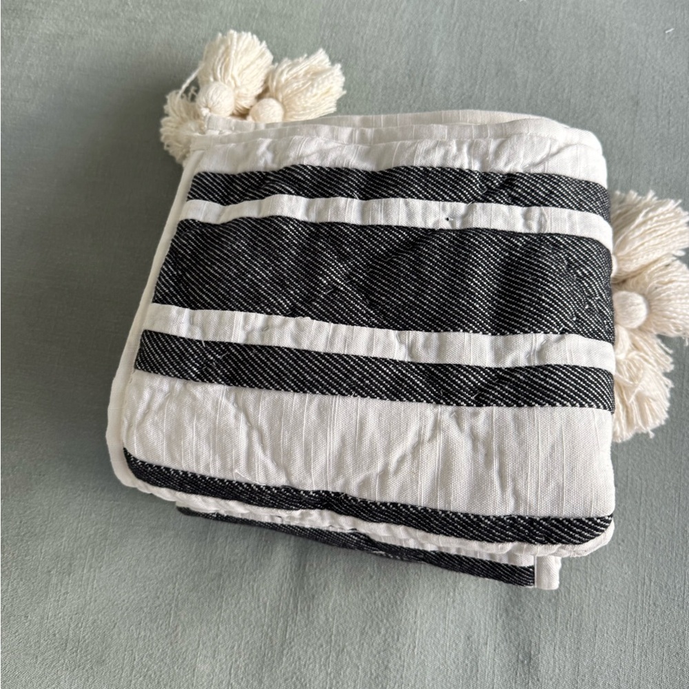 POTTERY BARN MESA TASSEL BLACK STRIPED SHAMS SET OF 2 KING - Picture 7 of 13